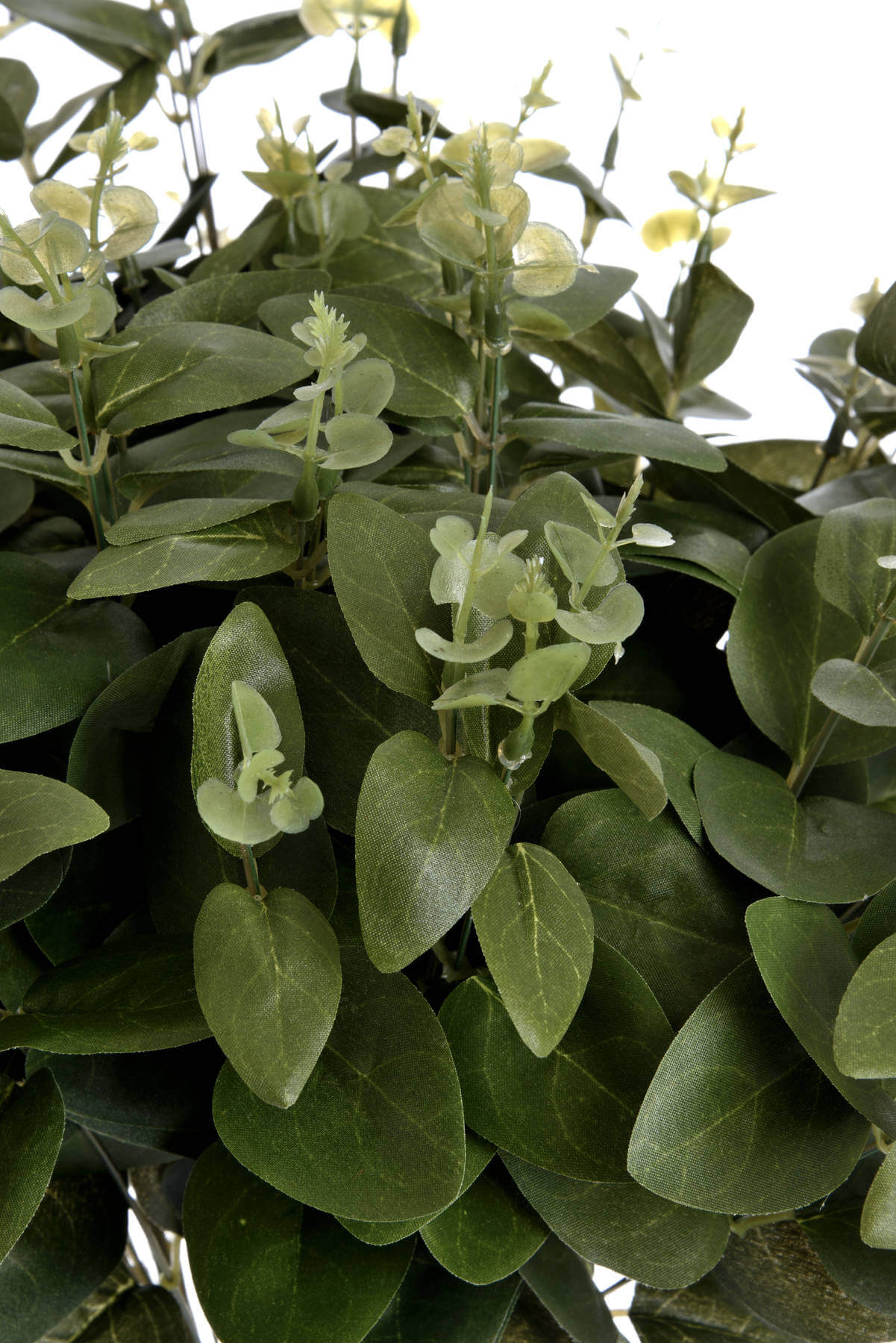 Dark green cineraria eucalyptus spray with realistic plastic leaves, 62cm tall, for home decor and floral arrangements by RoomLondon at brixbailey.com