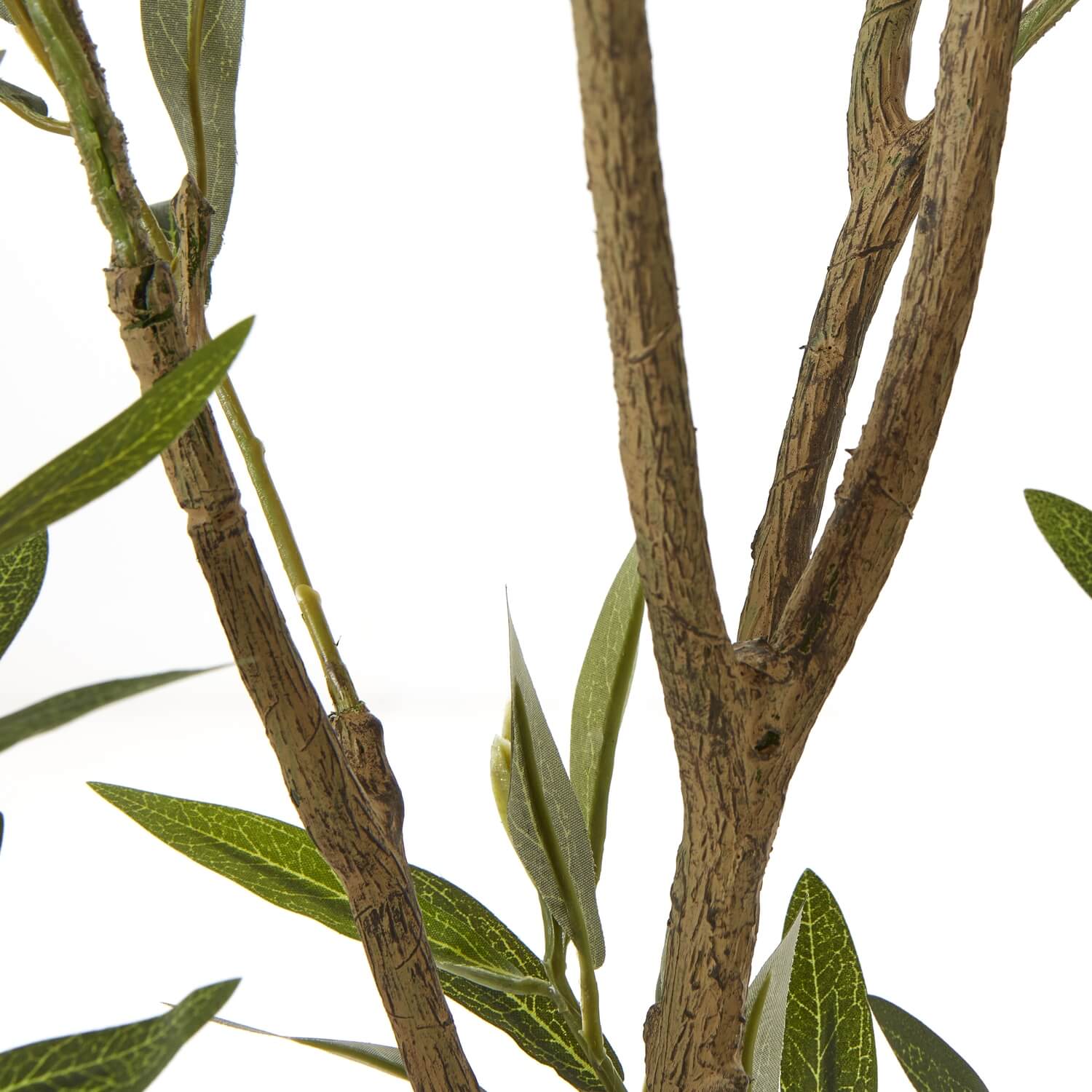 210cm artificial Apulia olive tree in white pot with realistic silvery-green leaves and textured brown trunk by Sostter at brixbailey.com