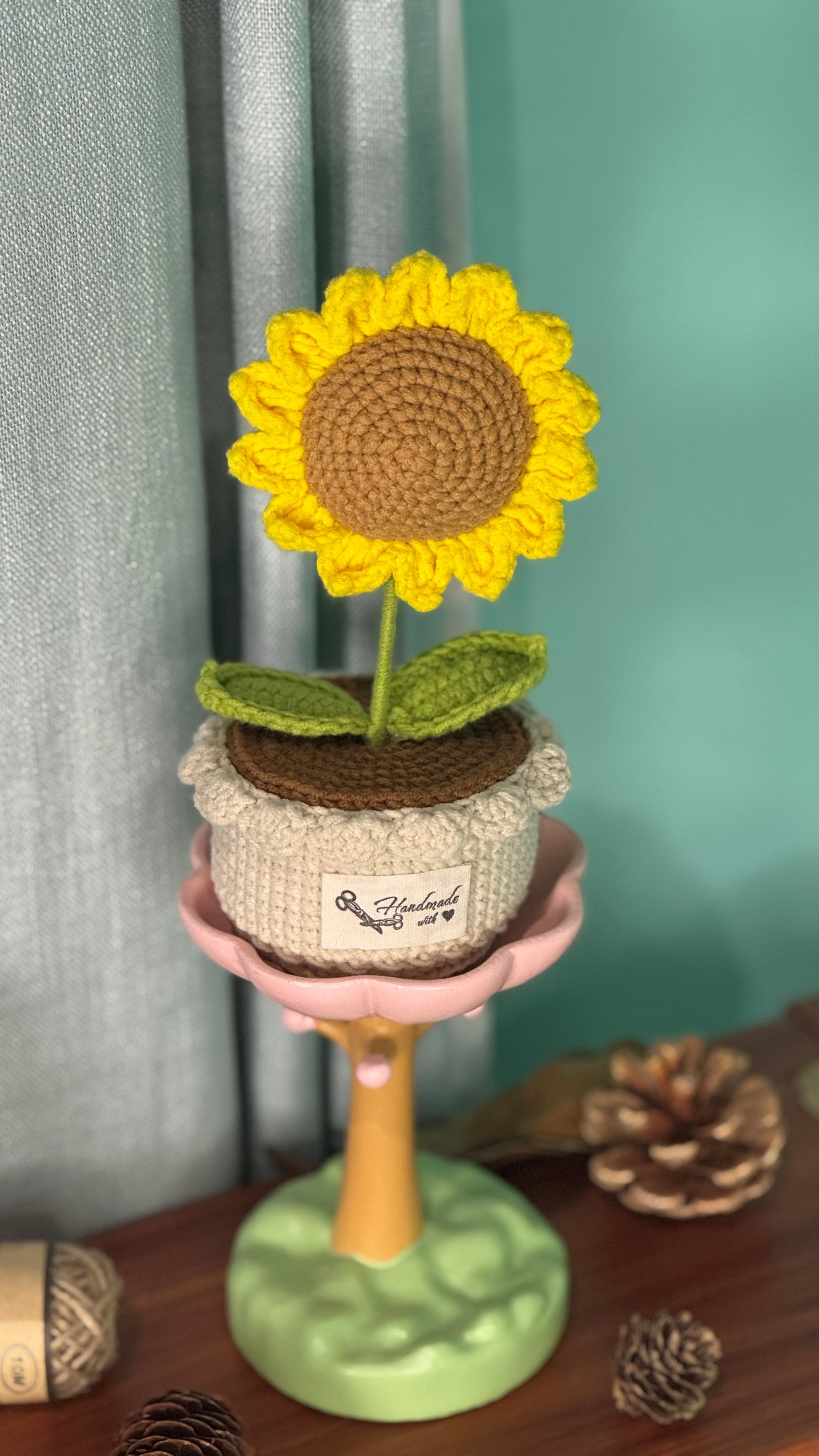 XXL Pot Plants Larger Size Bigger Smile