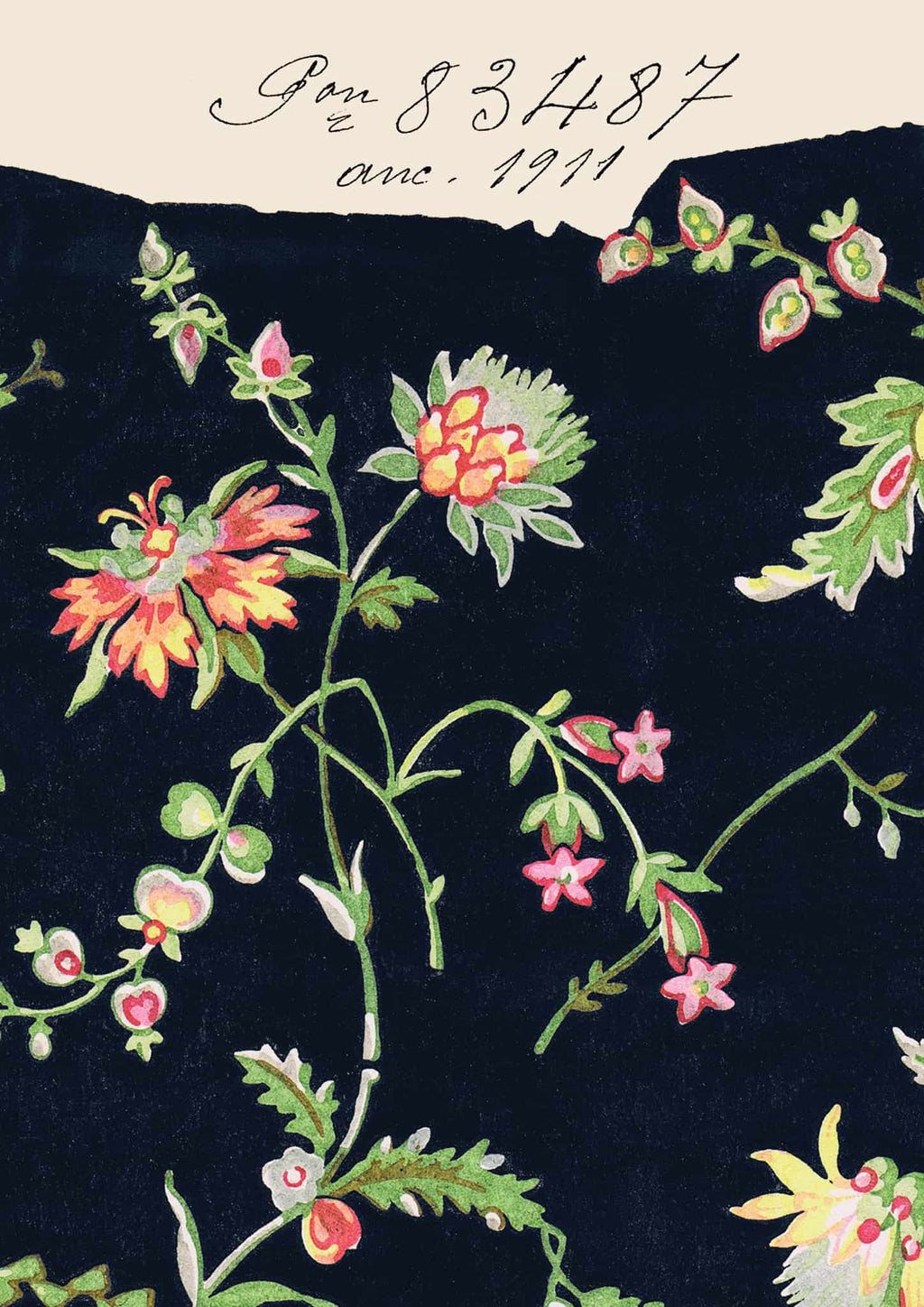 Midnight Blooms Vintage Botanical Poster Print