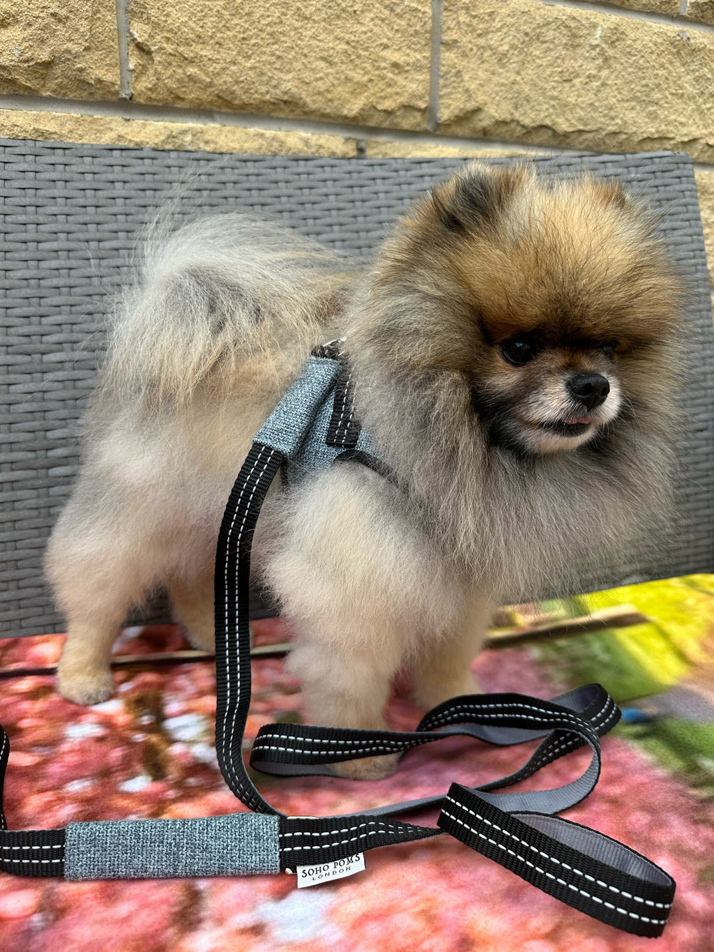Ocean Dog Lead 1.8m