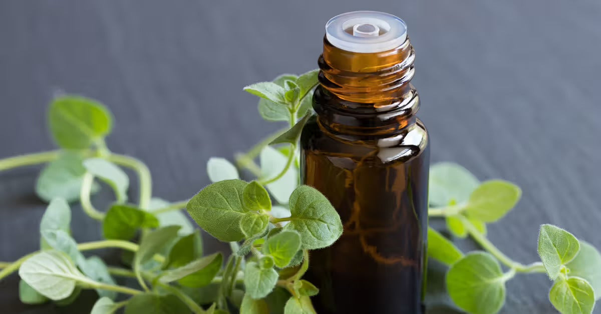 Organic Raw Oregano Oil 30ml