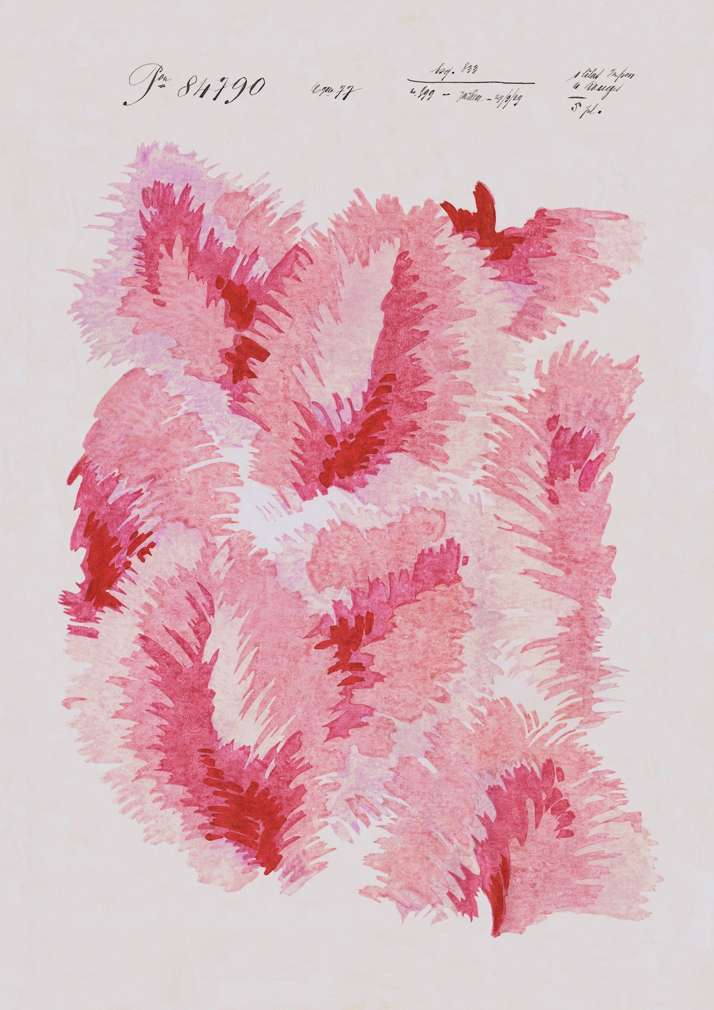 Venus Plumes Vintage Archive Poster Print