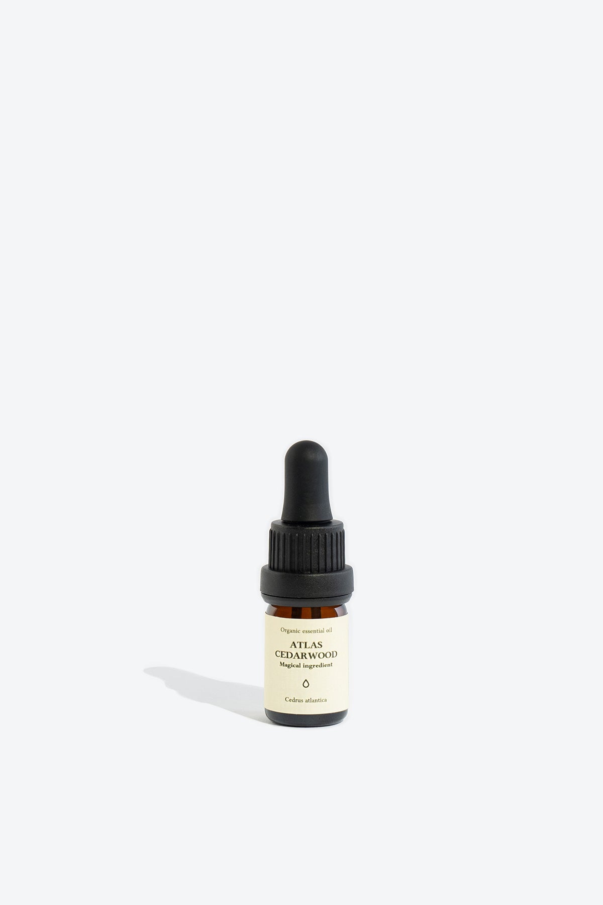 Cedrus Atlantica Essential Oil – Unlock Calm & Confidence by Smells Like Spells at www.brixbailey.com