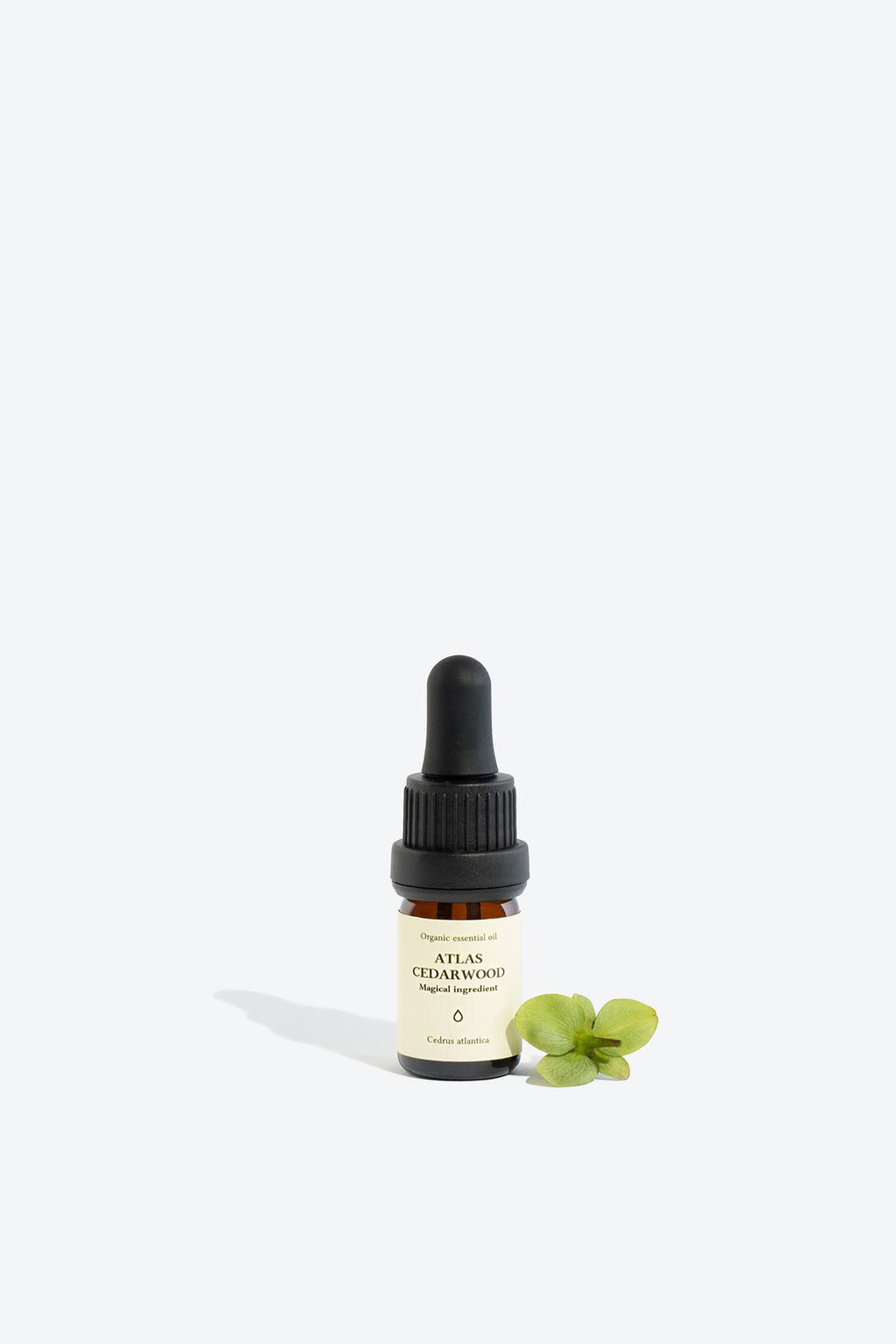 Cedrus Atlantica Essential Oil – Unlock Tranquility & Wellbeing by Smells Like Spells at www.brixbailey.com