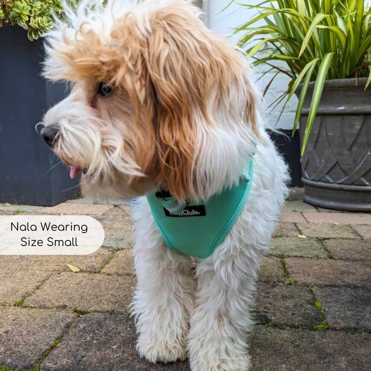 Adjustable Harness in Pastel Mint Green