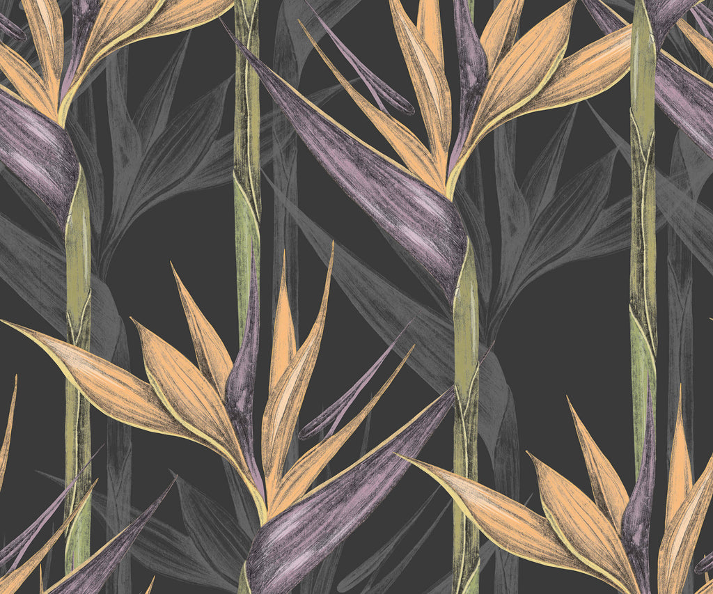 Bird of Paradise Wallpaper Amazonia