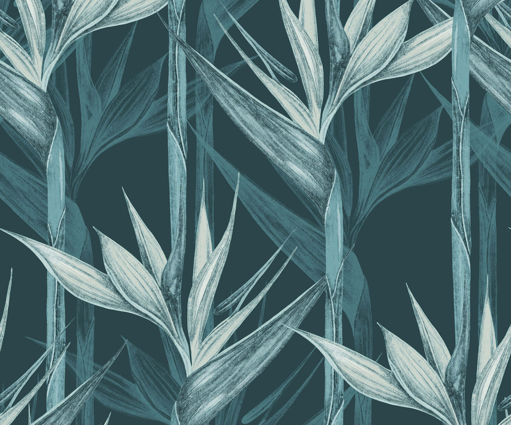 Bird of Paradise Wallpaper Amazonia