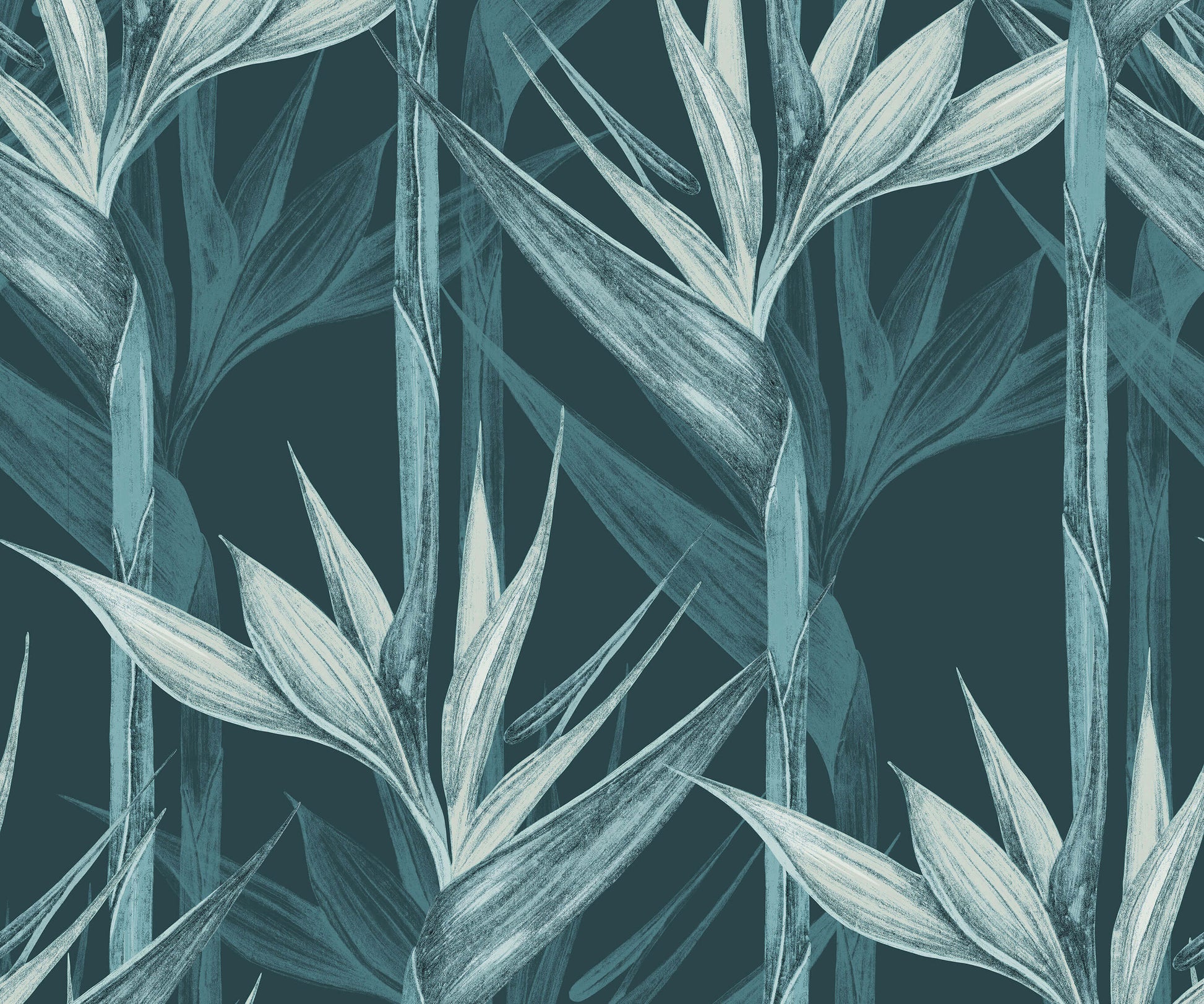 Bird of Paradise Wallpaper Amazonia