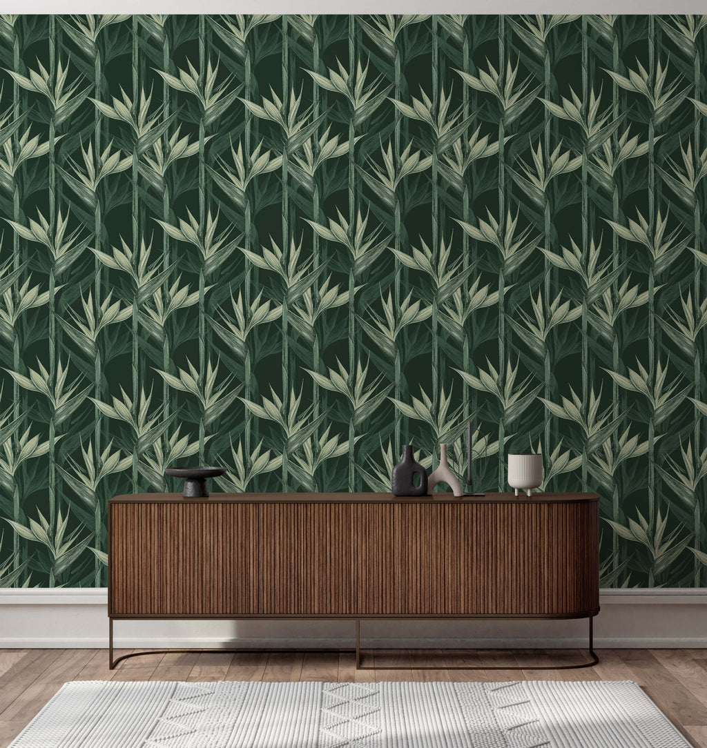 Bird of Paradise Wallpaper Amazonia