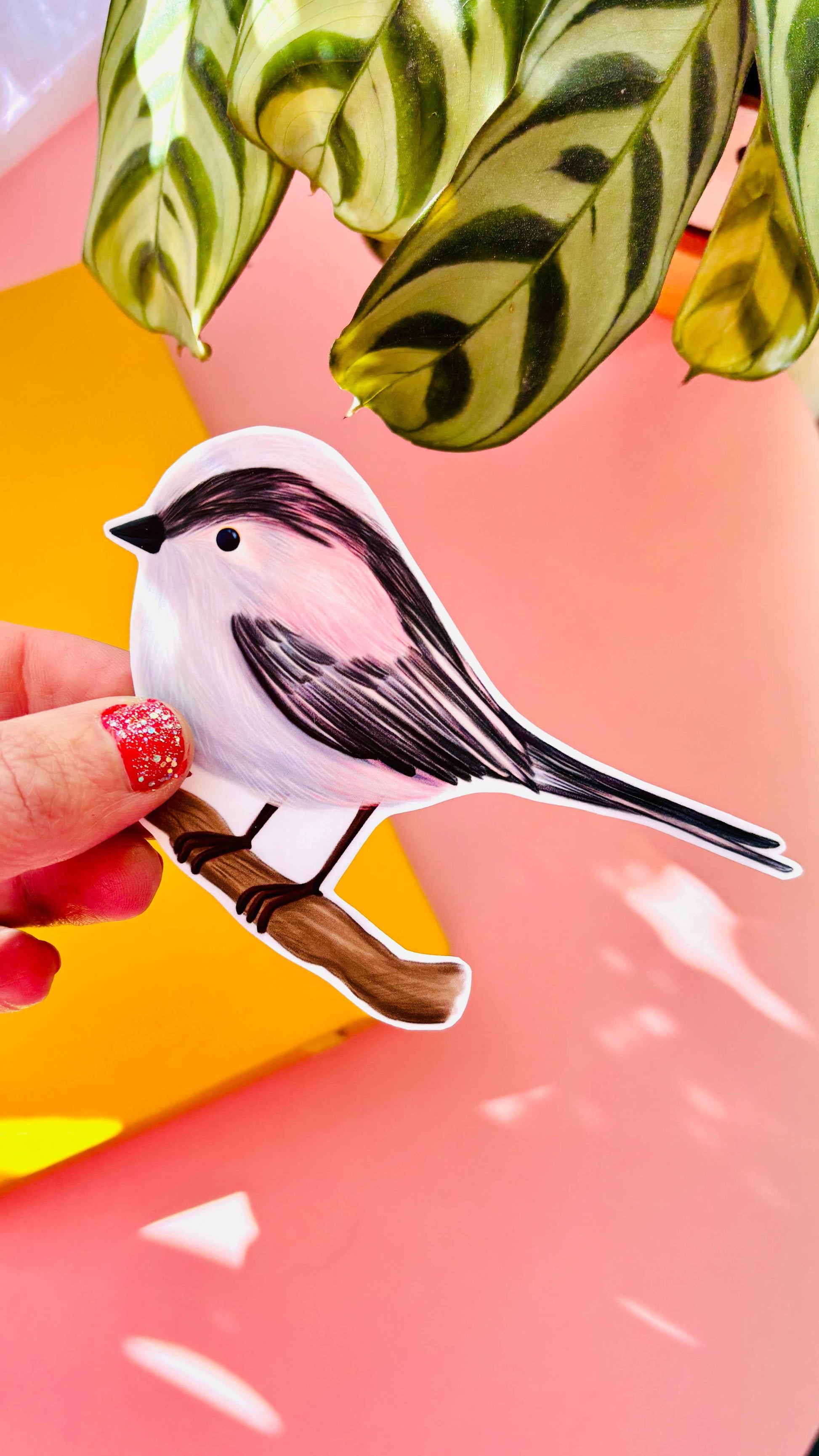 Garden Birds 10cm Vinyl Stickers Nature Inspired Waterproof Decals