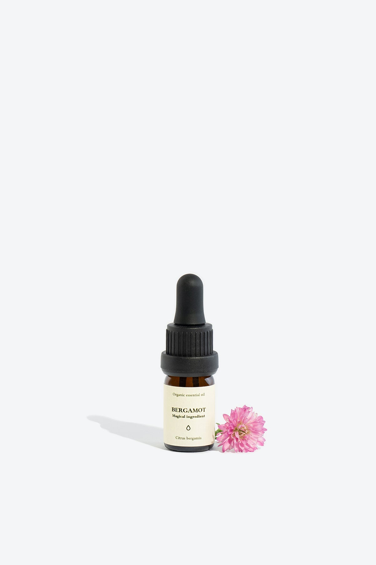 Citrus Bergamia Essential Oil – Uplift & Relax Naturally by Smells Like Spells at www.brixbailey.com