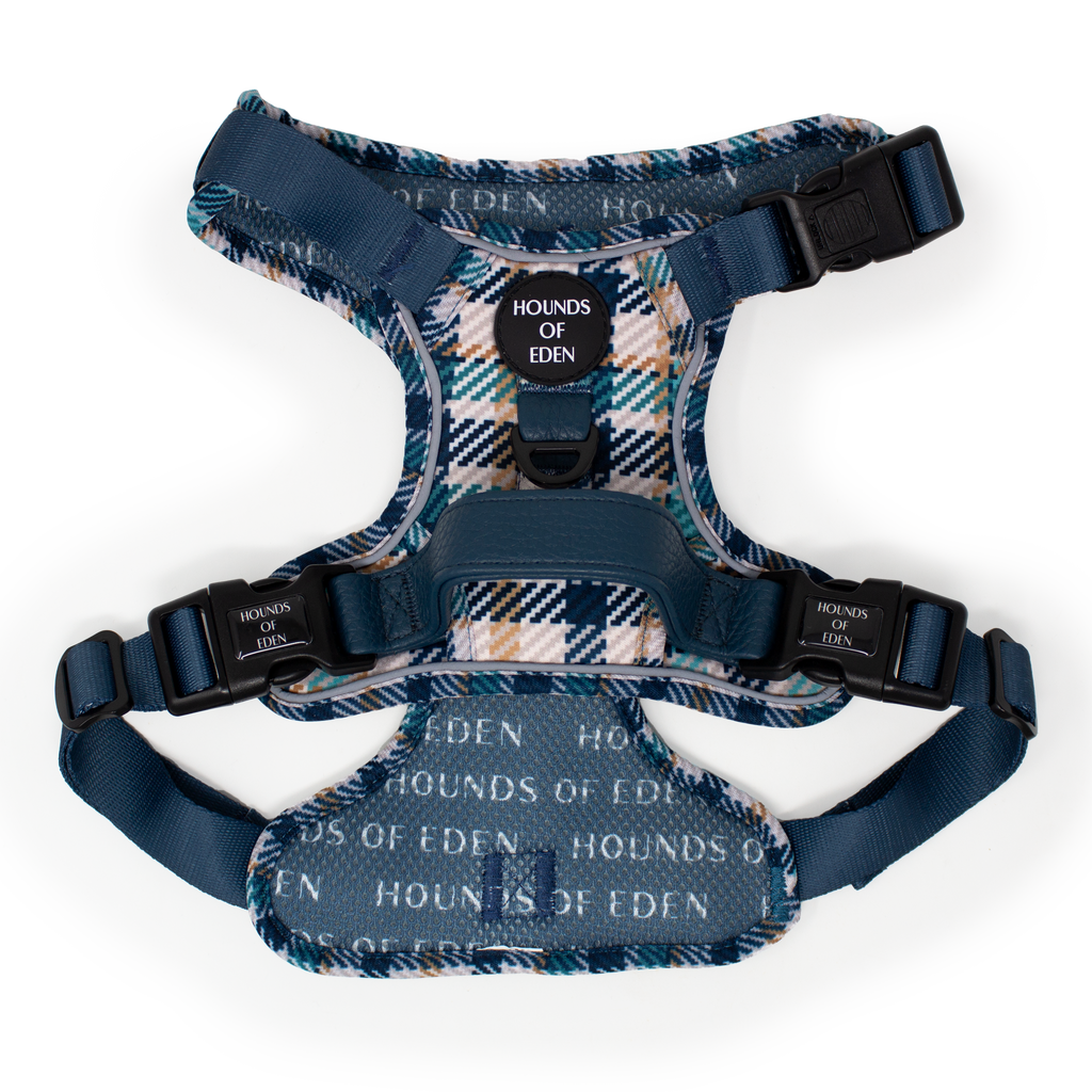Smart Dog Supaw Strong Lite Harness XS to XL