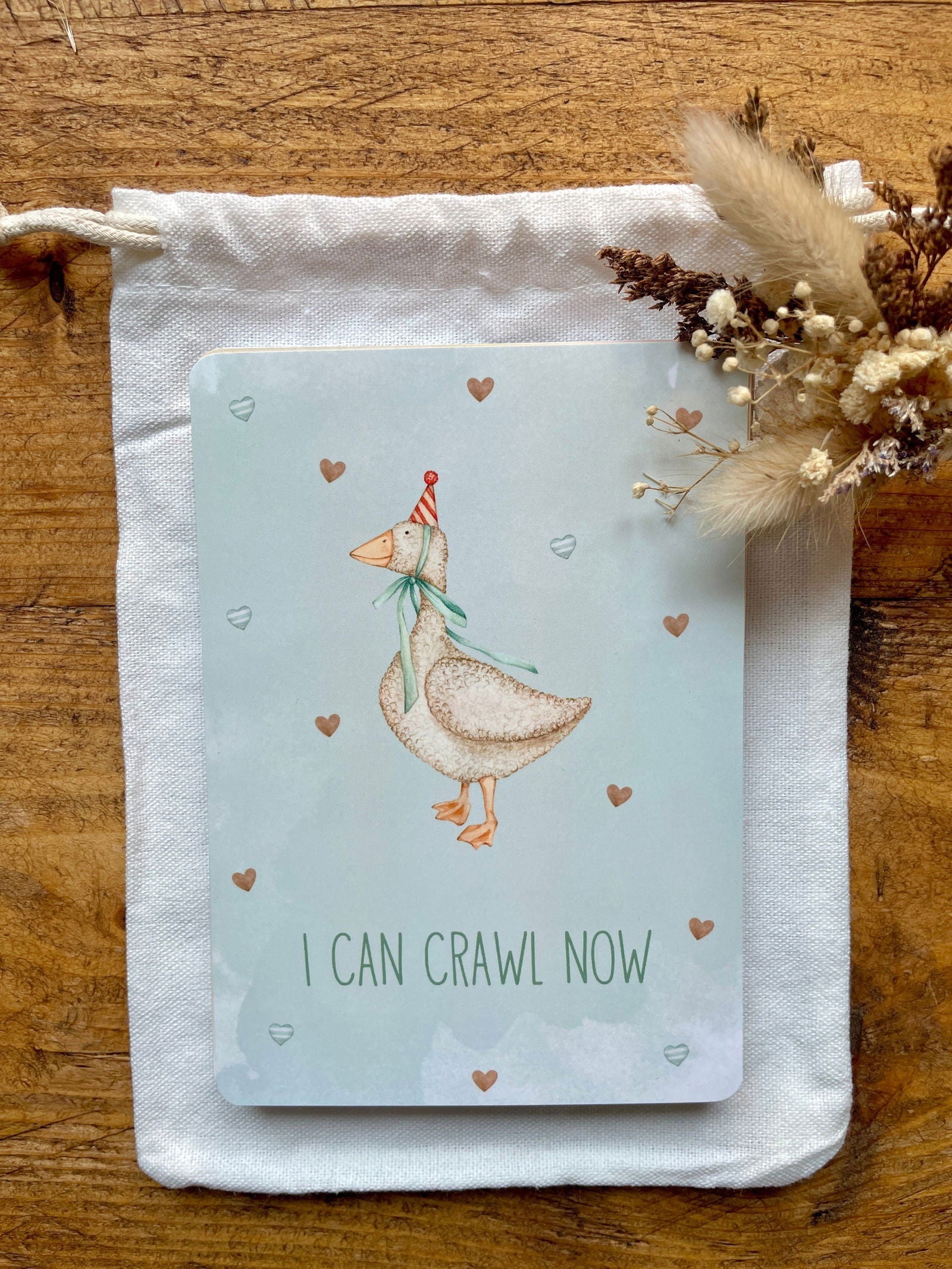 Baby Milestone Cards Set of 30