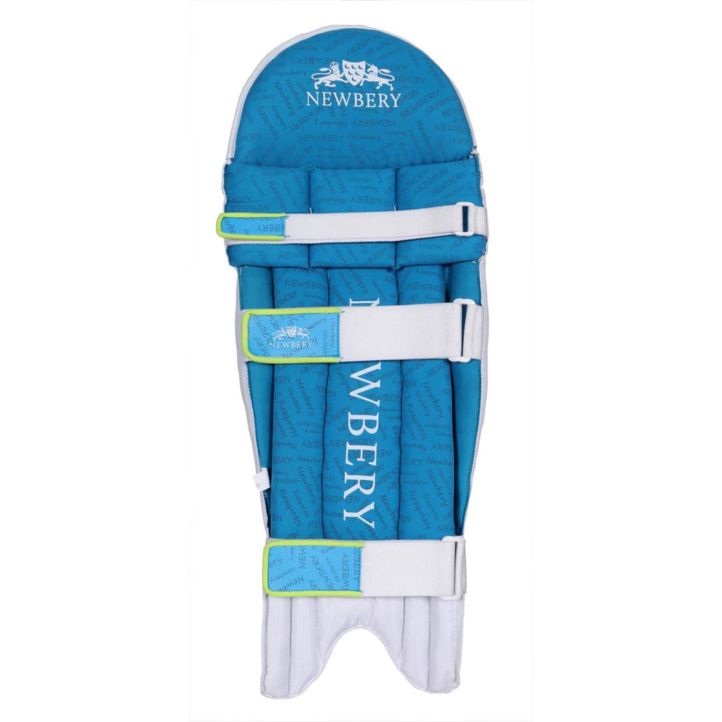 Pulse Cricket Batting Pads