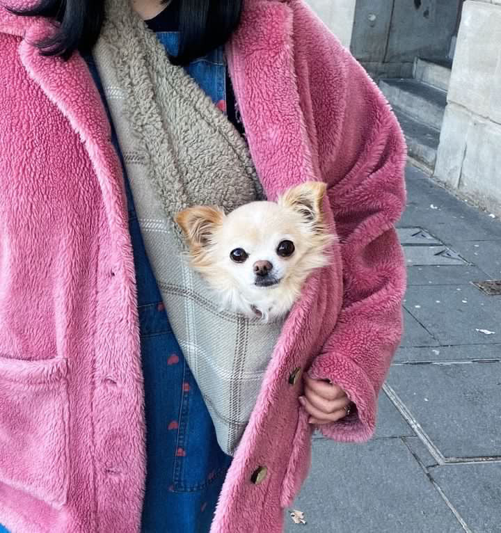 Handcrafted Luxury Puppy and Small Dog Carrier Sling in Harris Grey Check