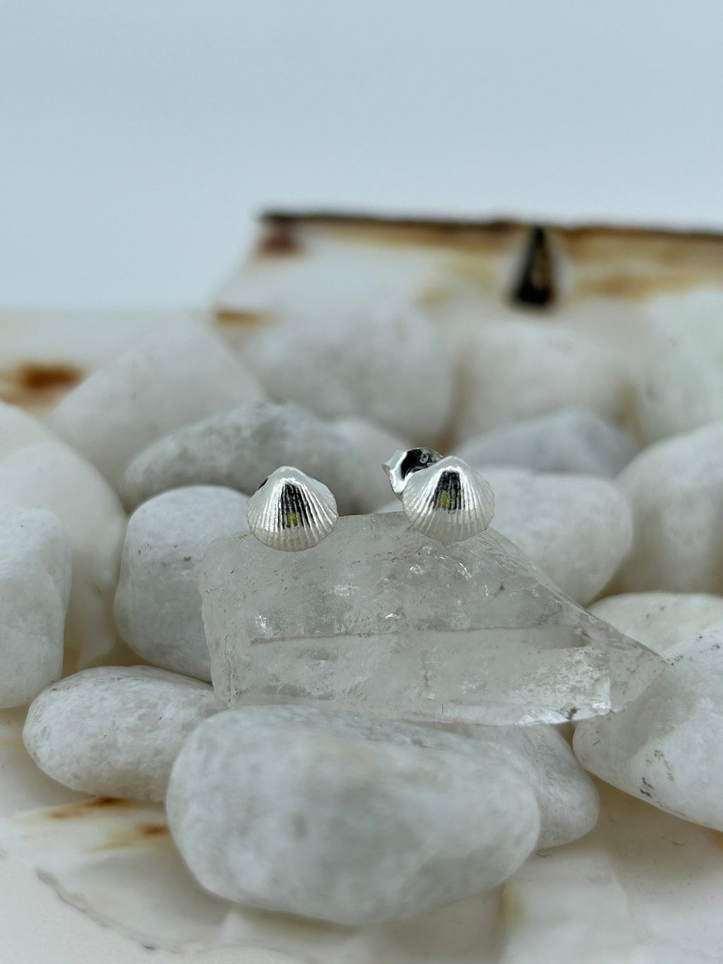 Mini Shell Studs in Sterling Silver