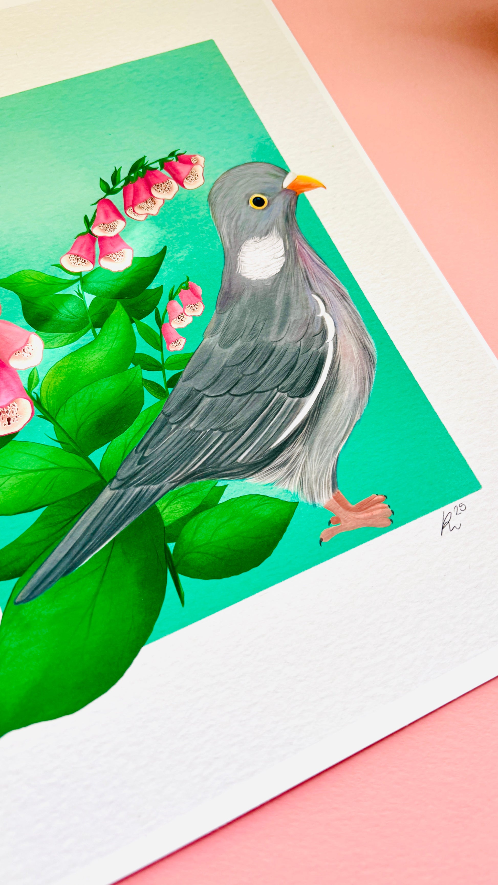 Wood Pigeon and Foxglove Art Print British Wildlife Illustration