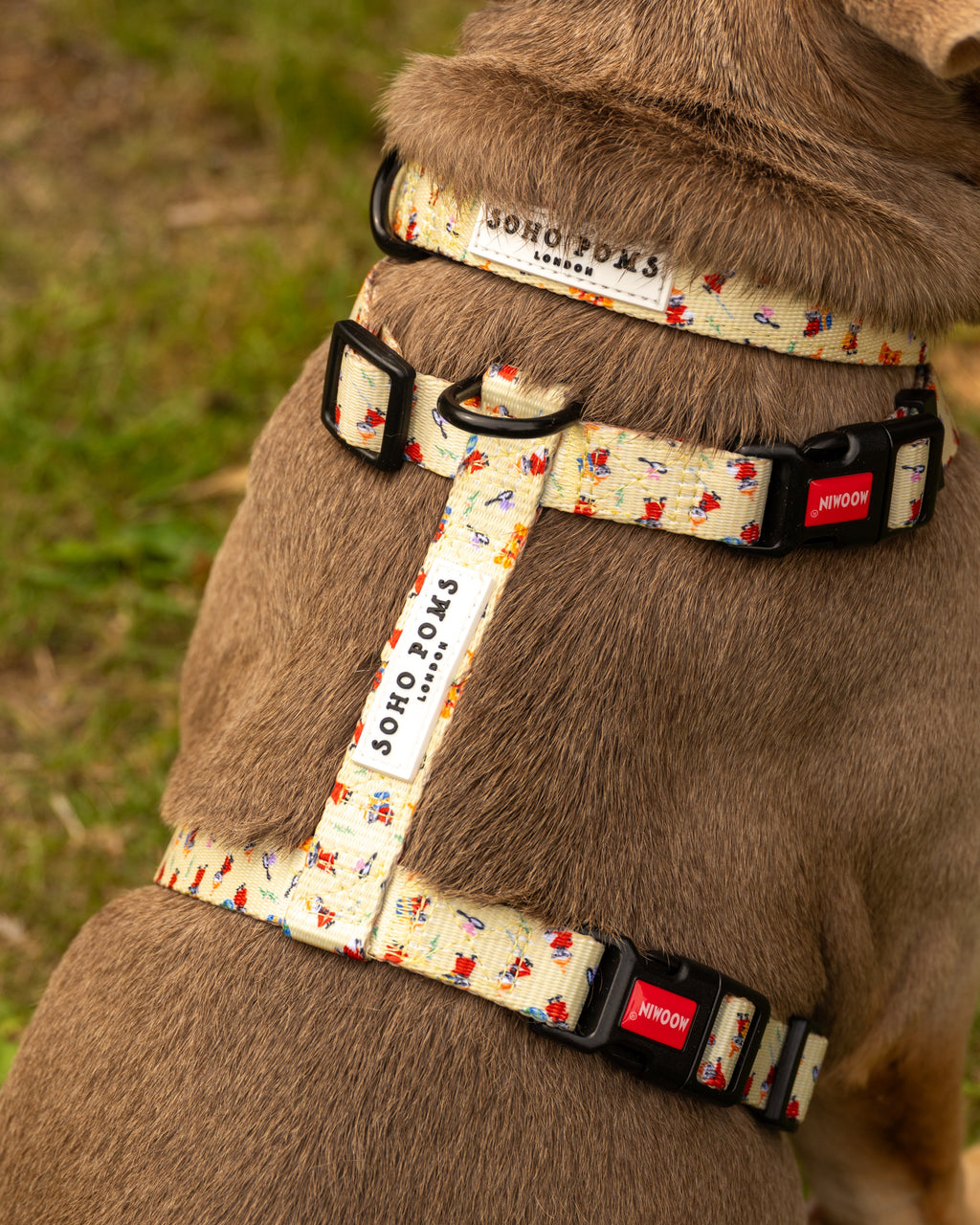 Yellow Sunrise Dogs Padded Collar with Moomins Print