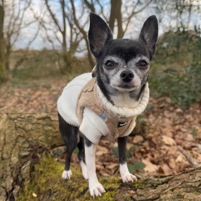 Step In Soft Touch Suede Faux Fur Lined Puppy and Small Dog Harness Caramel