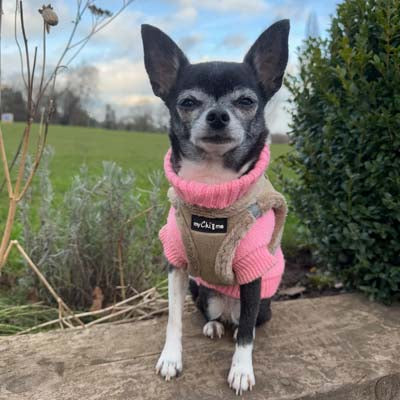 Step In Soft Touch Suede Faux Fur Lined Puppy and Small Dog Harness Caramel