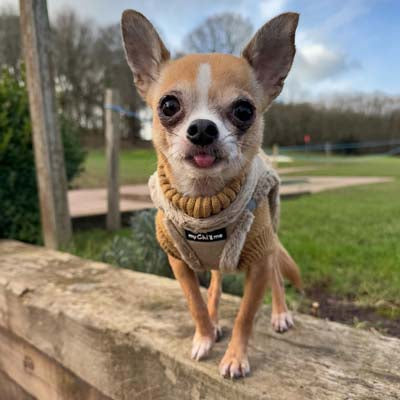 Step In Soft Touch Suede Faux Fur Lined Puppy and Small Dog Harness Caramel