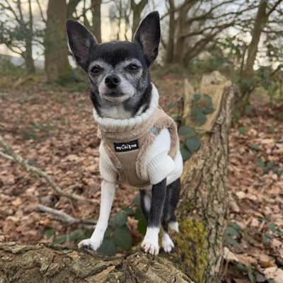 Step In Soft Touch Suede Faux Fur Lined Puppy and Small Dog Harness Caramel