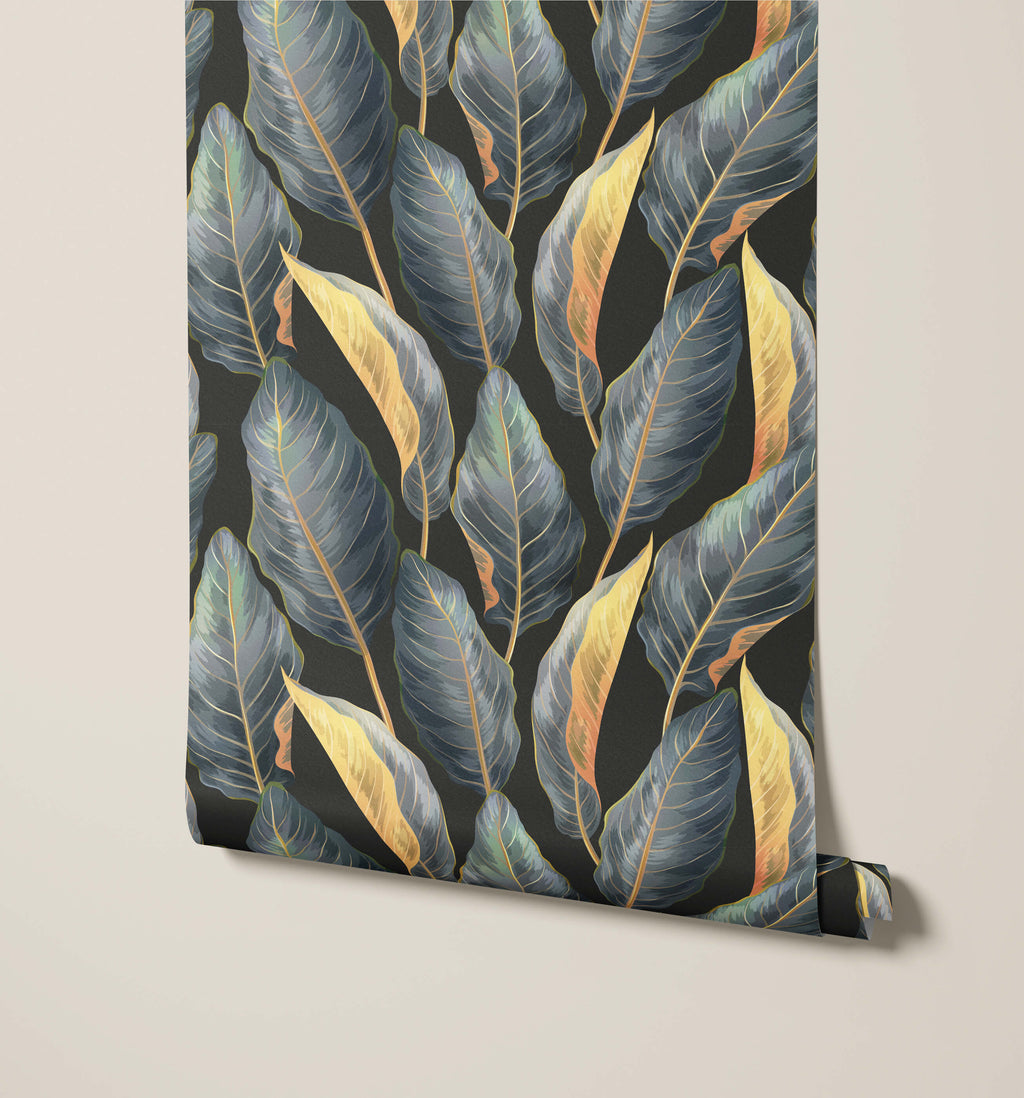 Calathea Prayer Plant Wallpaper