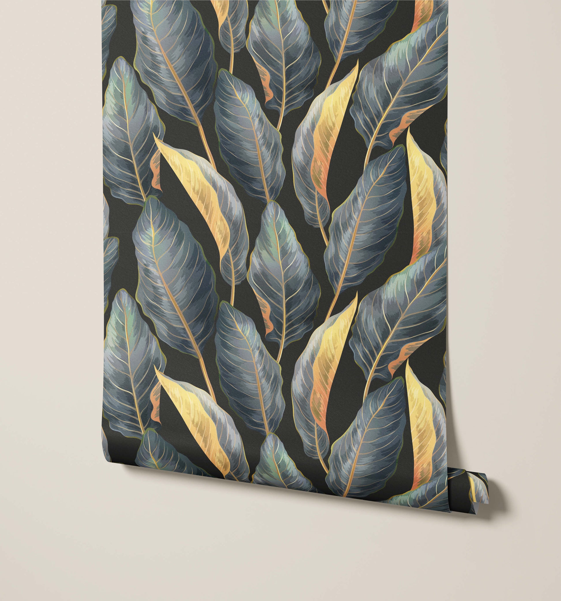 Calathea Prayer Plant Wallpaper