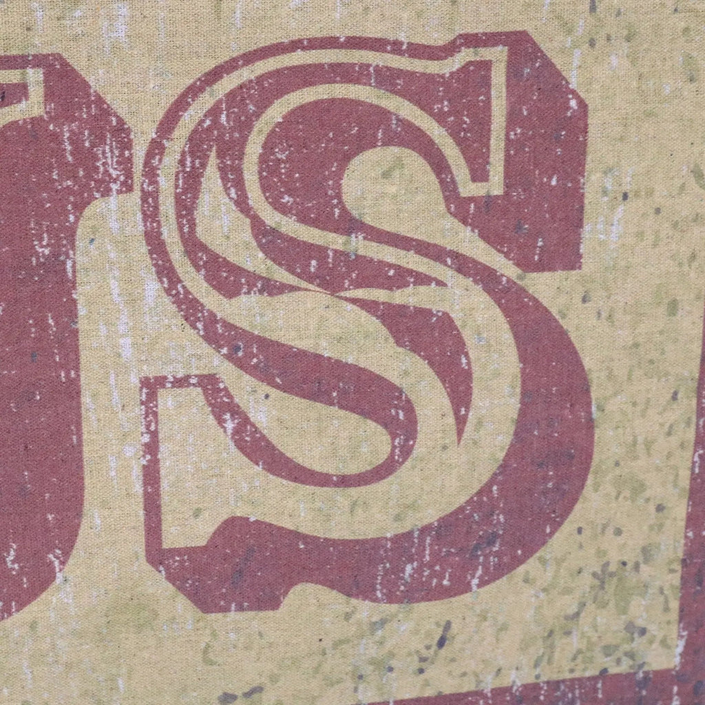 Vintage Circus Sign Canvas Wall Art with Wooden Scroll