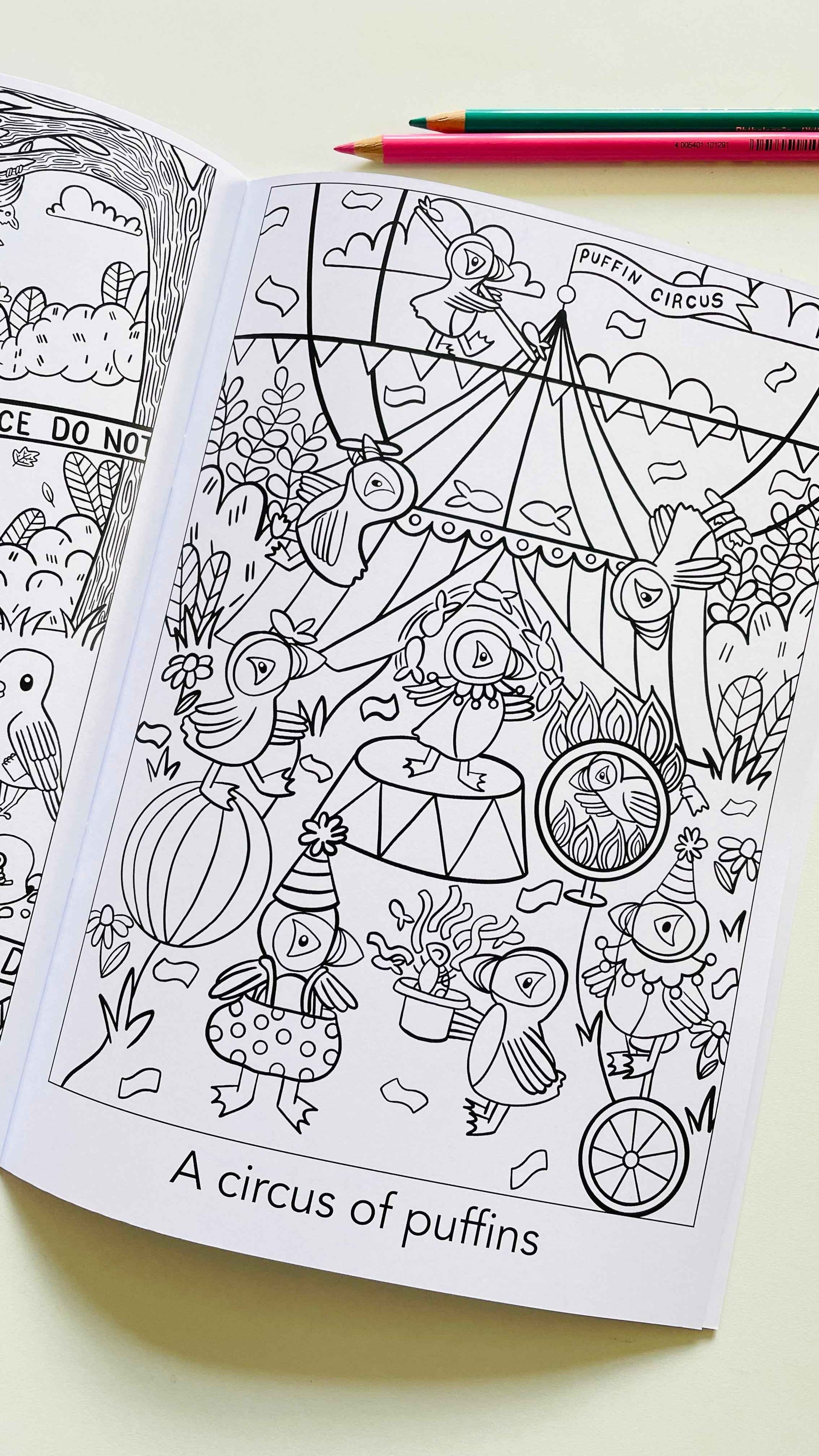 A Crown of Kingfishers Colouring Book