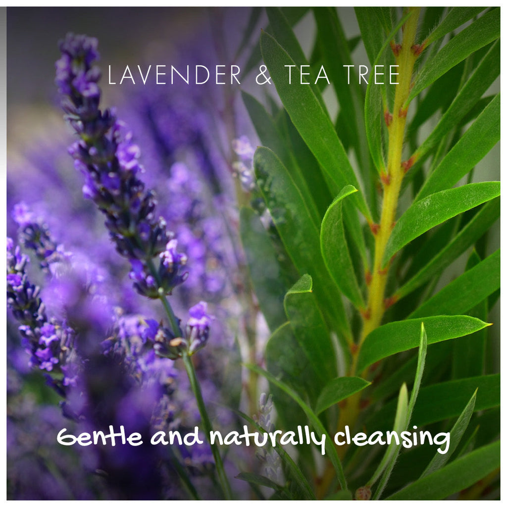 Lavender and Tea Tree Conditioner Bar