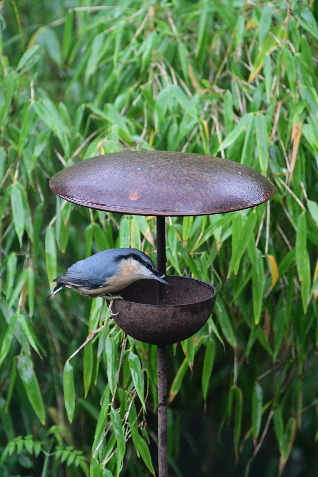 Rusty Metal Bird Feeding Stake