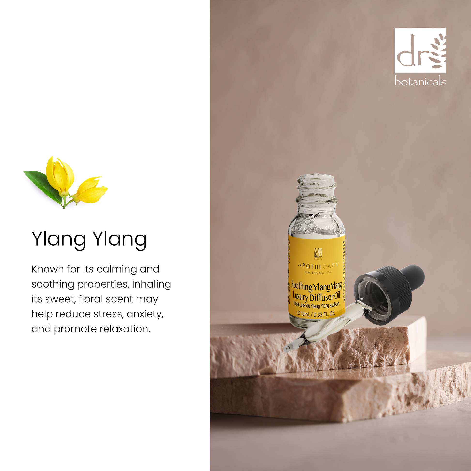 5 in 1 Aromatherapy Diffuser Kit with Ylang Ylang and Sandalwood