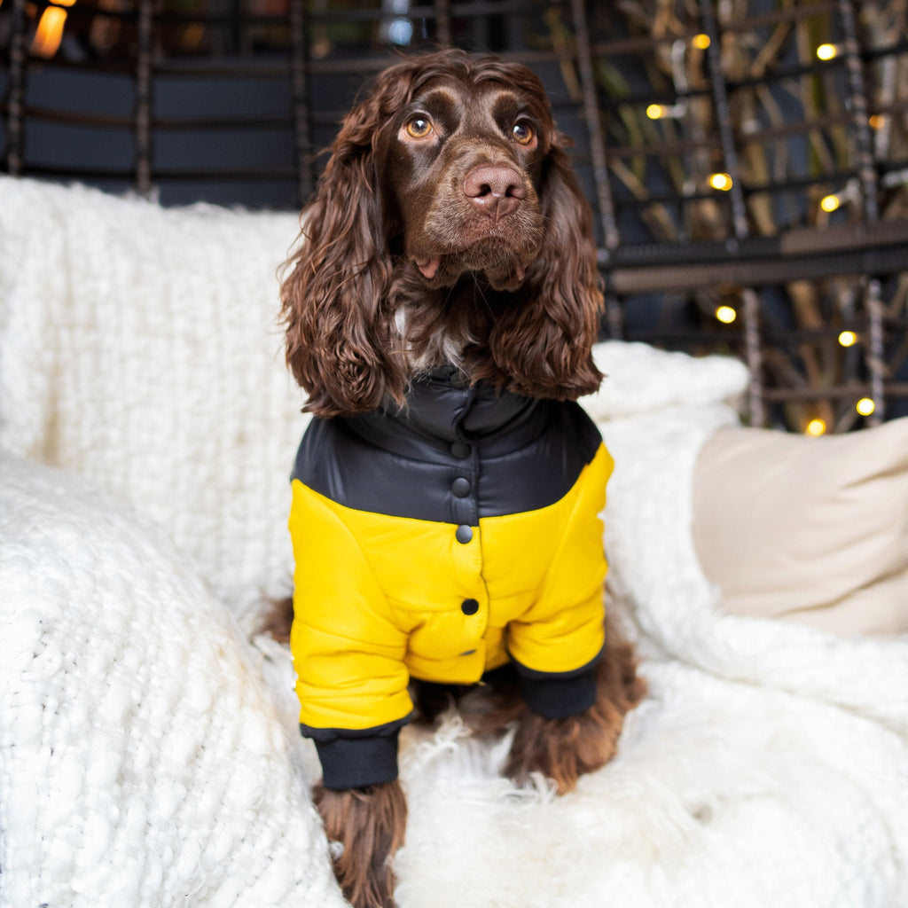 Contrast Button Up Puffer Ski Jacket