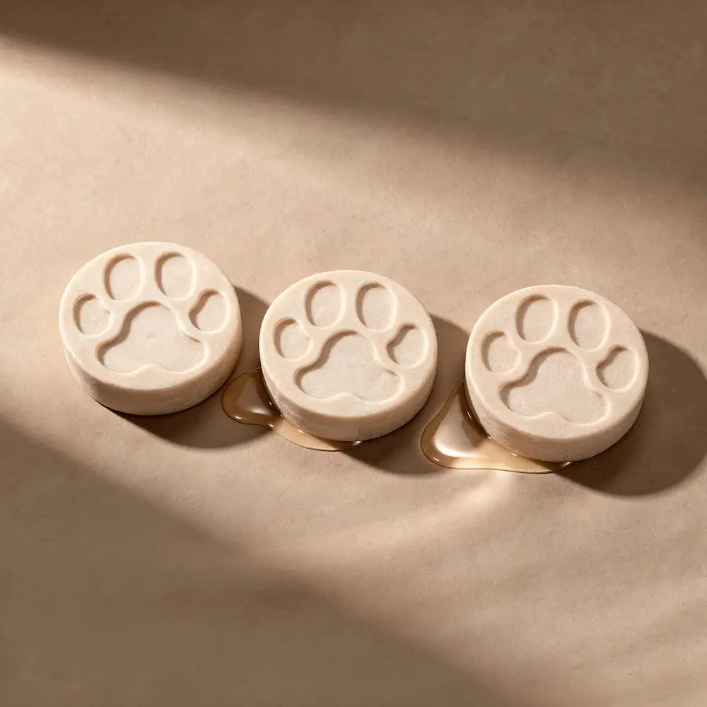 Fragrance Free Dog Shampoo Bar Bundle of 3