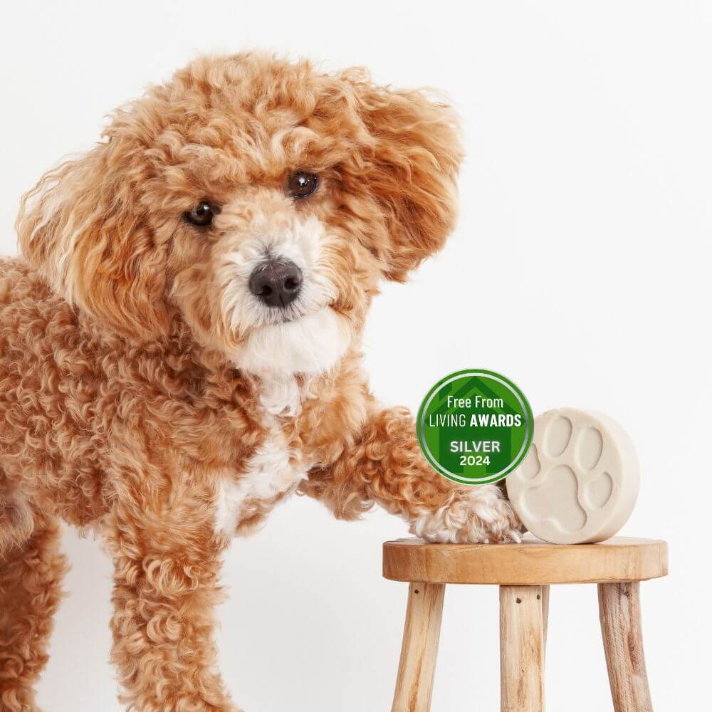 Fragrance Free Dog Shampoo Bar Bundle of 3