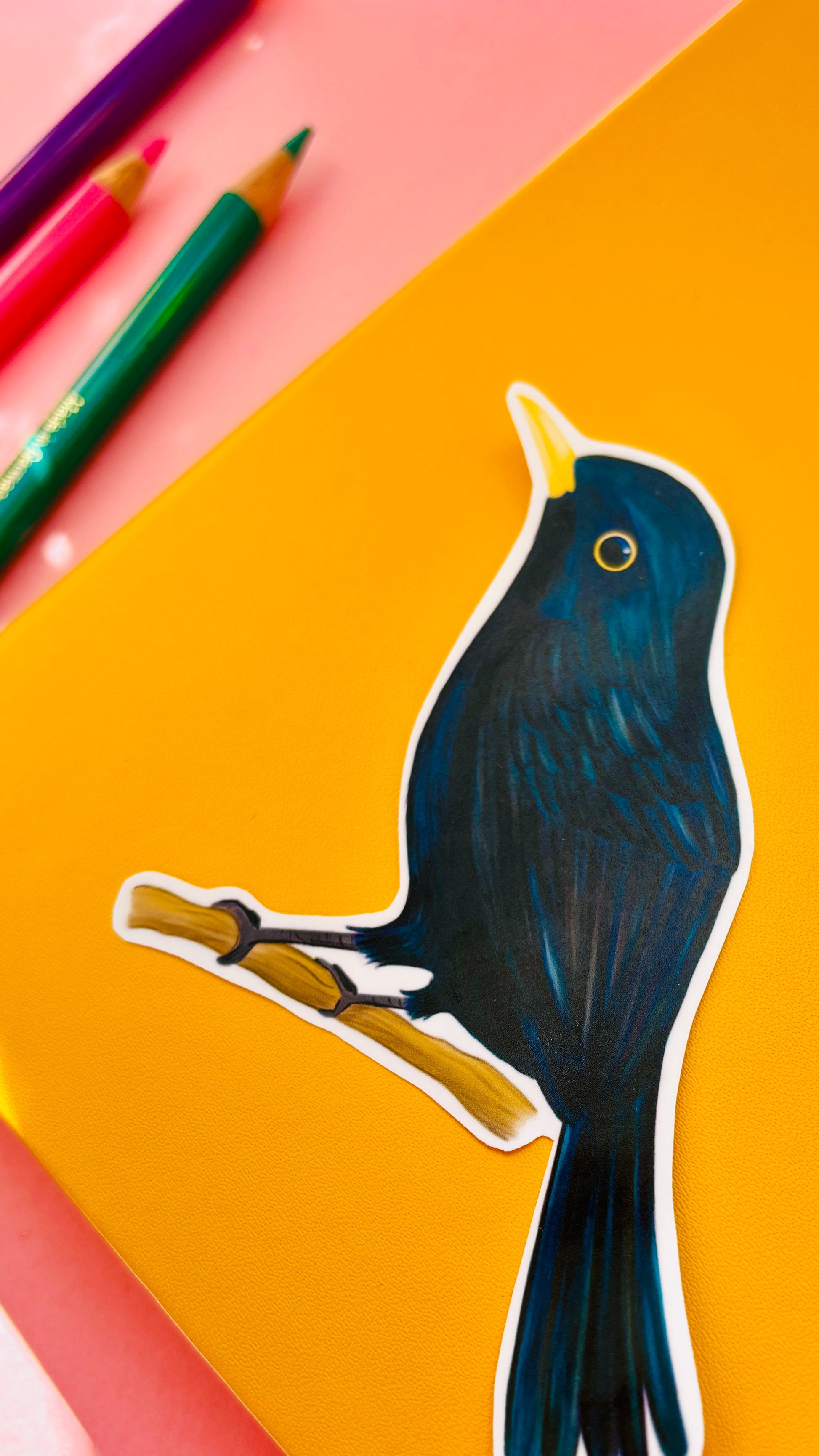 Blackbird Vinyl Sticker British Wildlife Art Waterproof