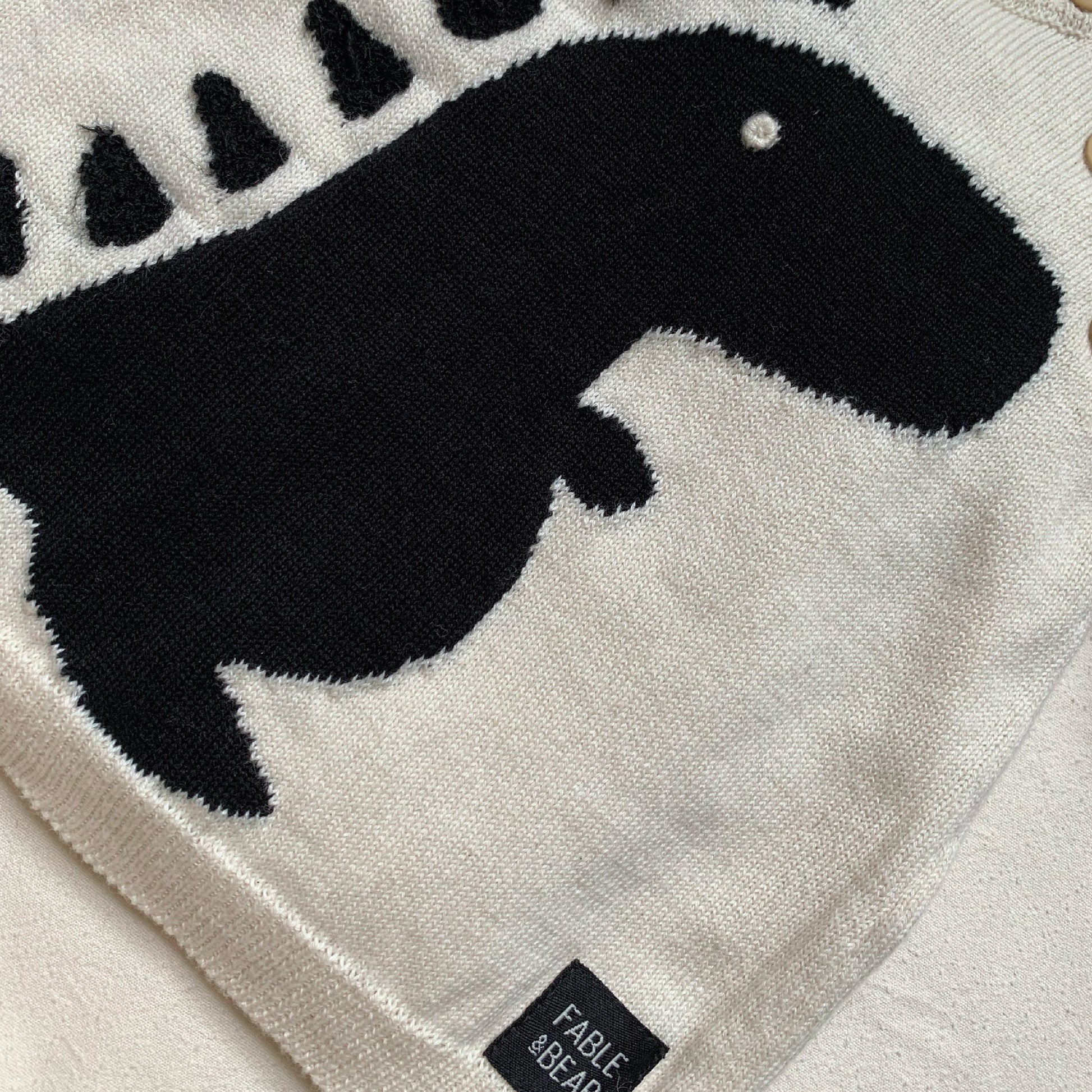 Dino Jumper