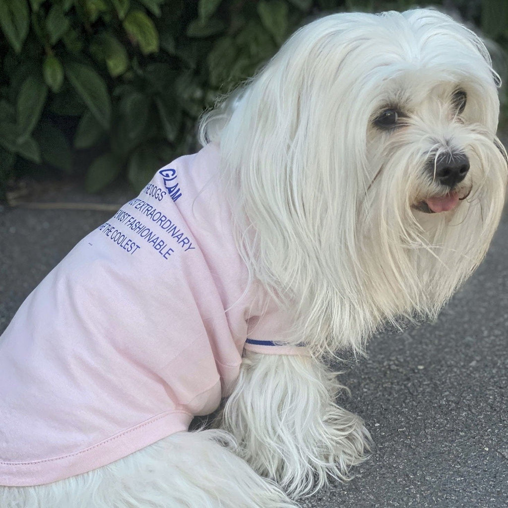 Pink Cotton T-Shirt with Blue Text