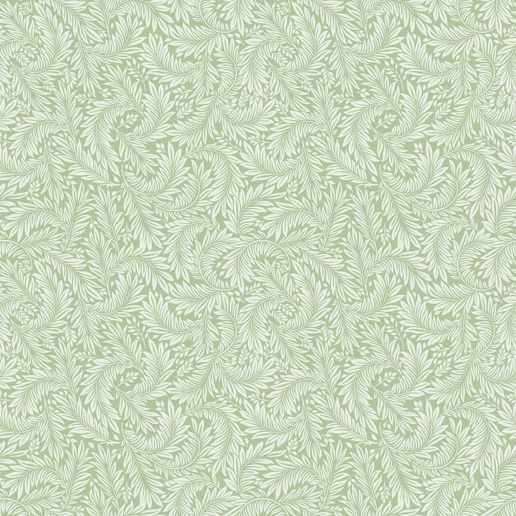Acanthus Leaf Wallpaper