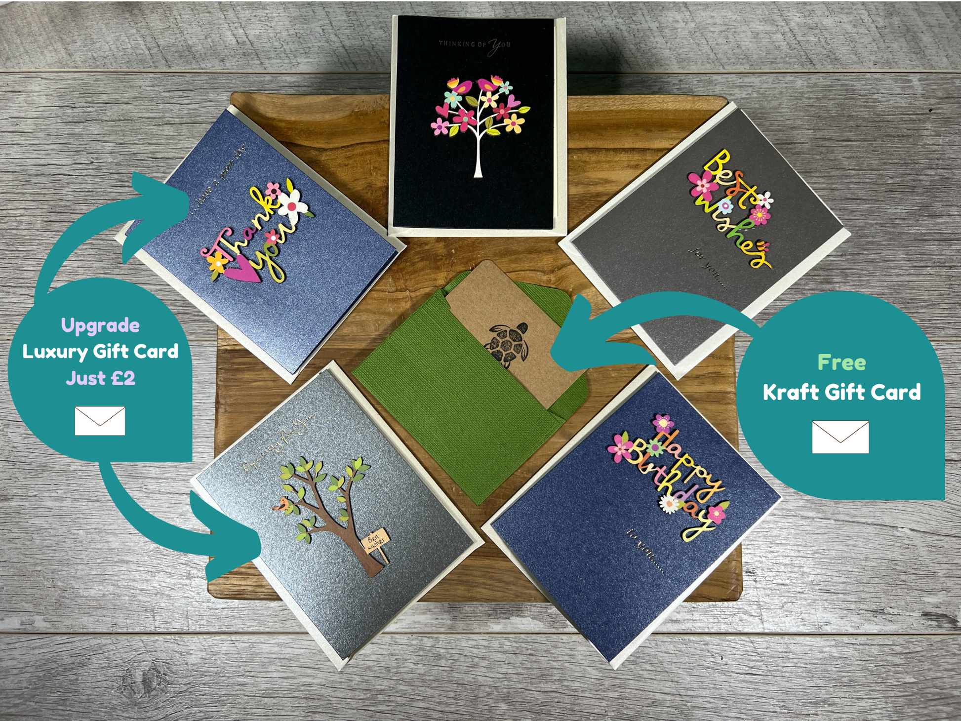 Plant Propagation Gift Set for Home Growing