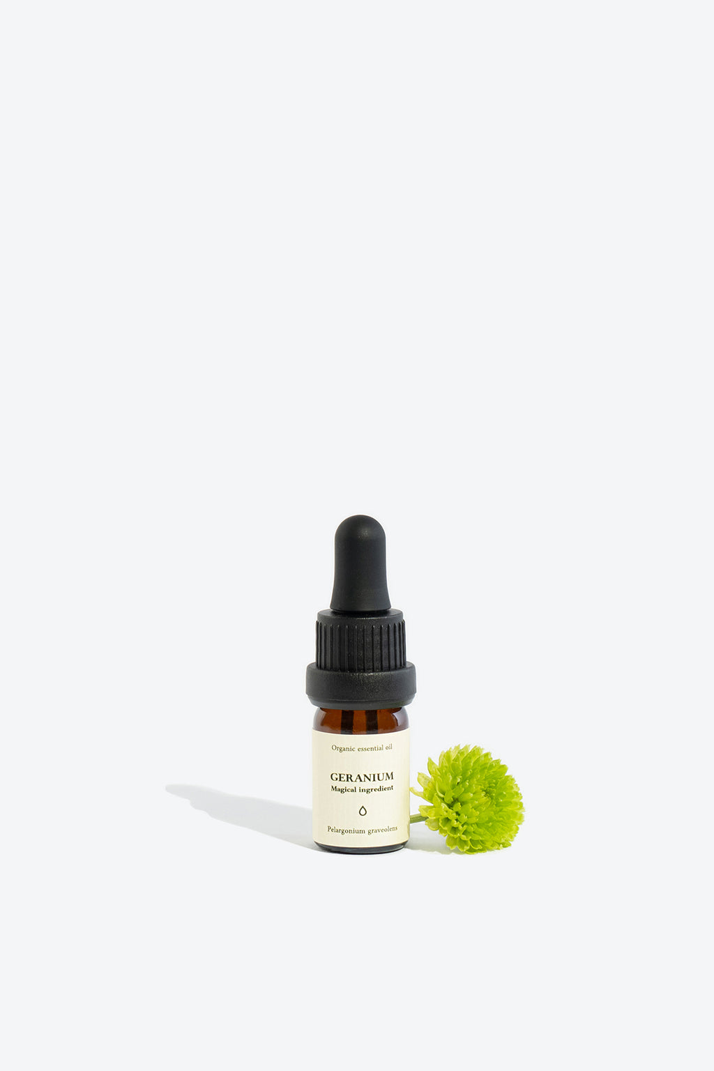 Natural Organic Pelargonium Graveolens Oil – Emotional & Aromatic Harmony by Smells Like Spells at www.brixbailey.com