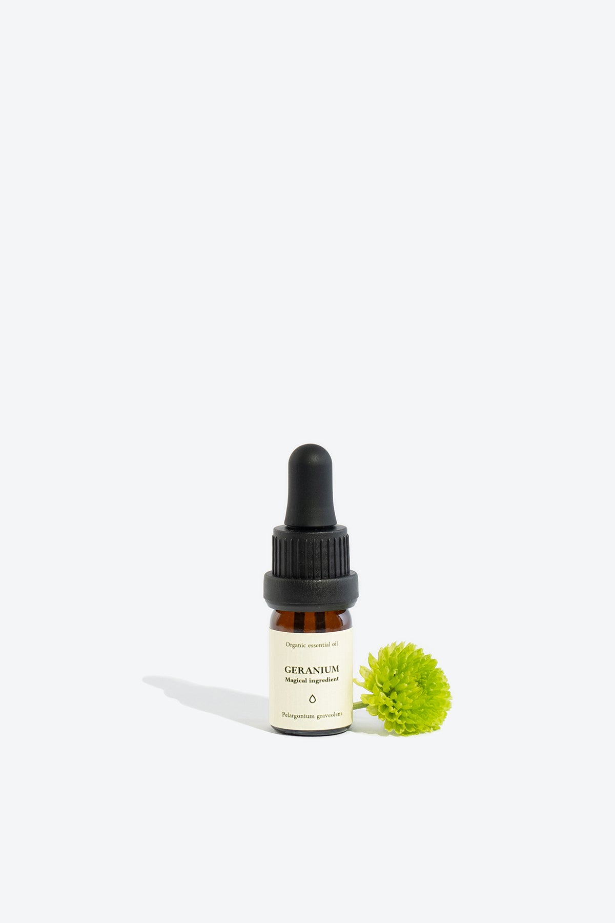Natural Organic Pelargonium Graveolens Oil – Emotional & Aromatic Harmony by Smells Like Spells at www.brixbailey.com