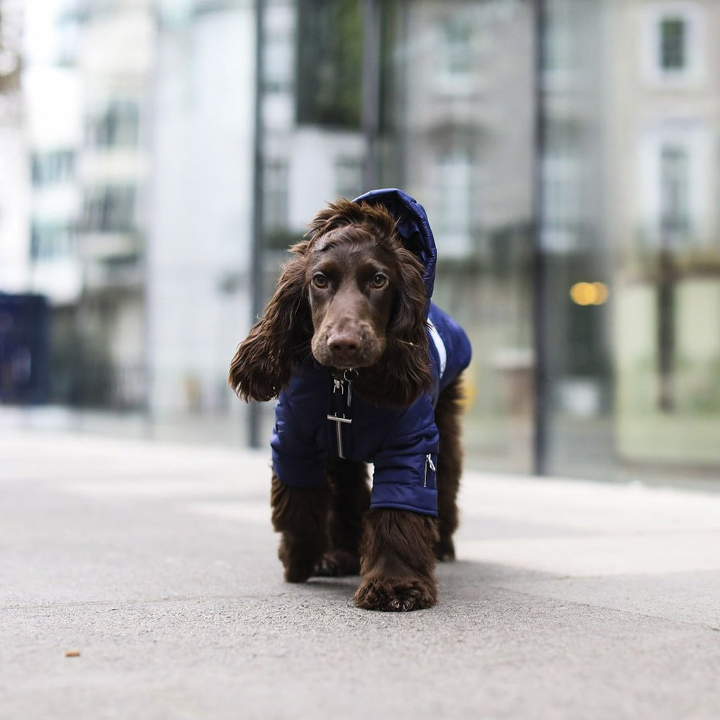 Navy Zip Up Puffer Jacket