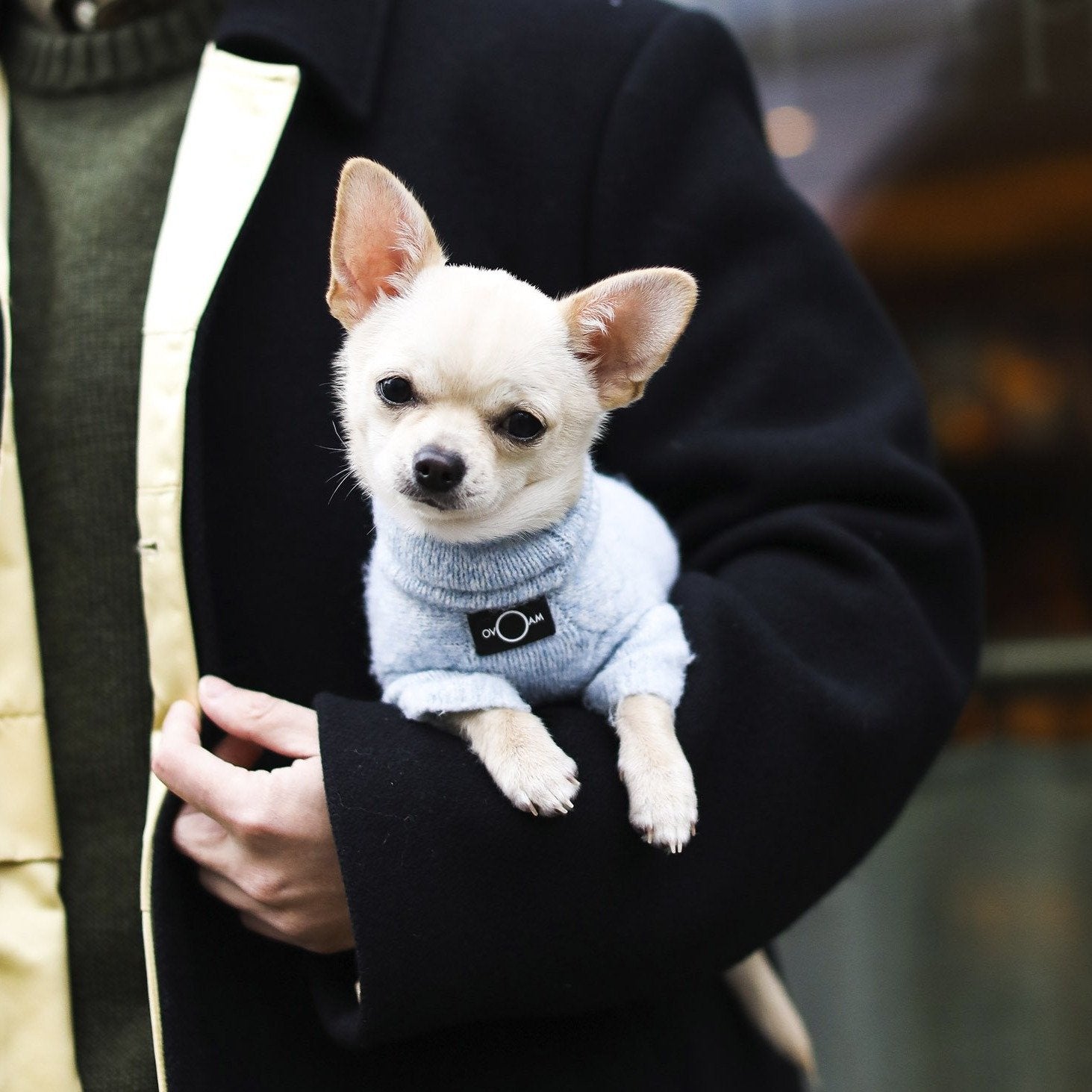 Cashmere Wool Turtleneck Sweater