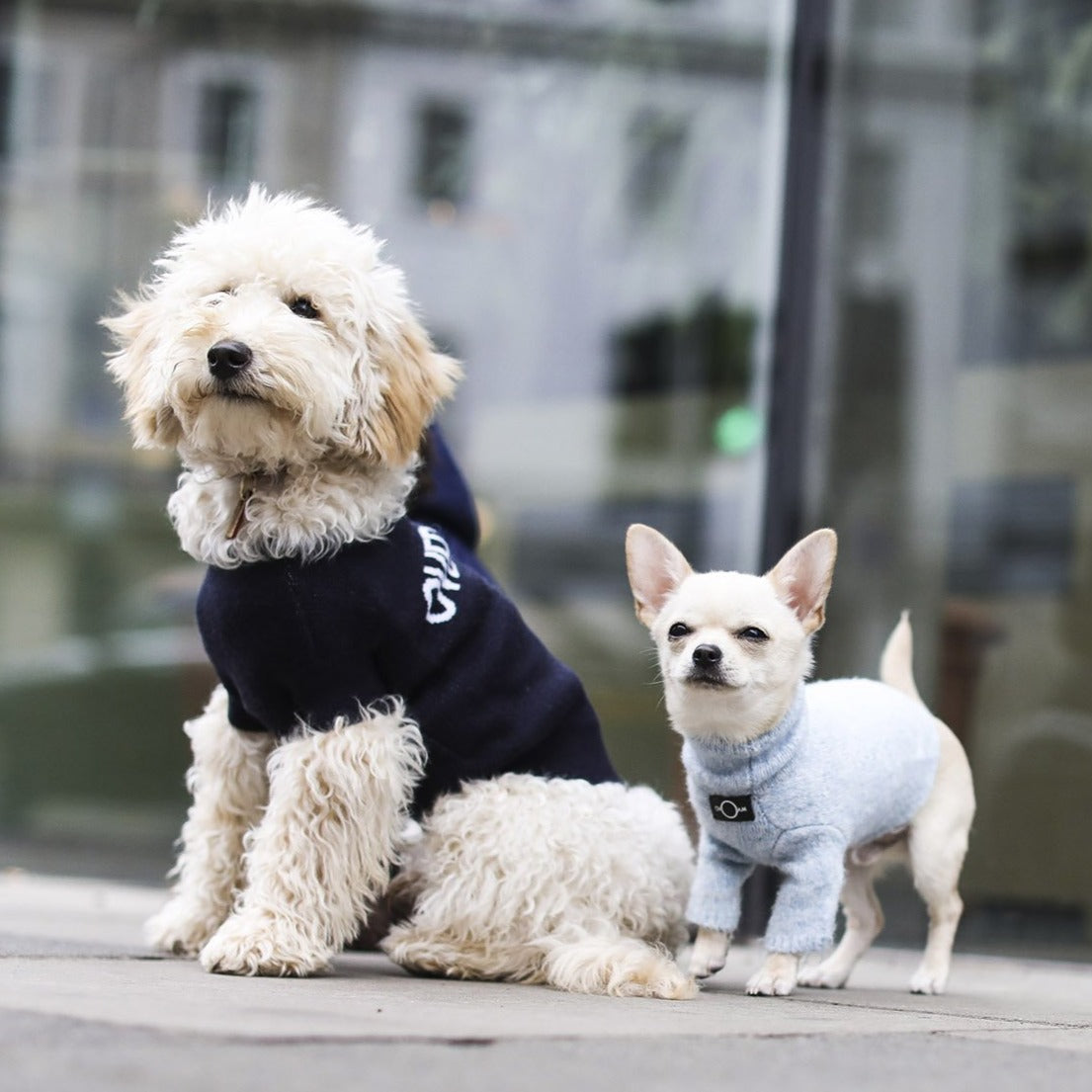 Overglam Logo Jumper in 5 Colours