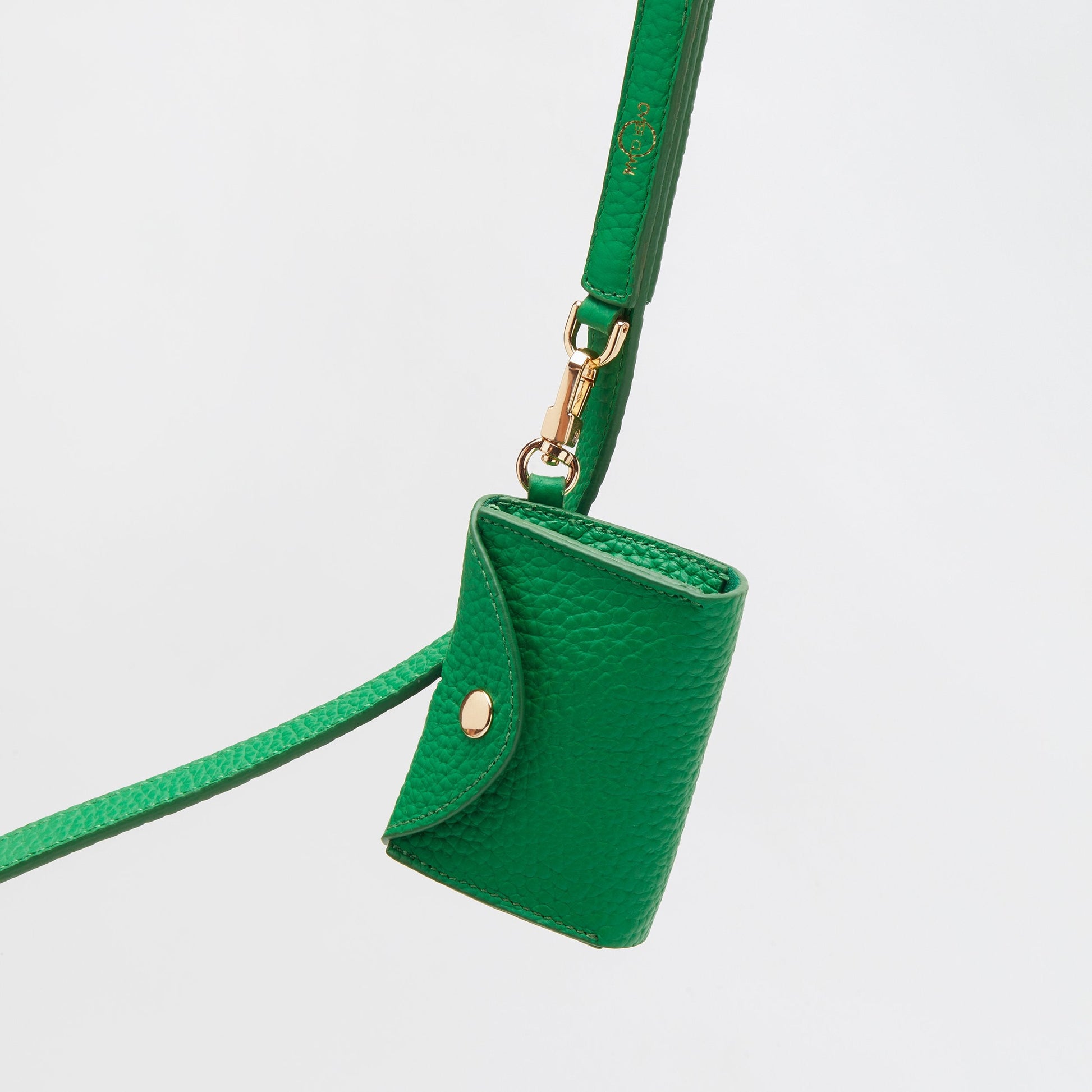 Leather Lead Collar and Pocket Set