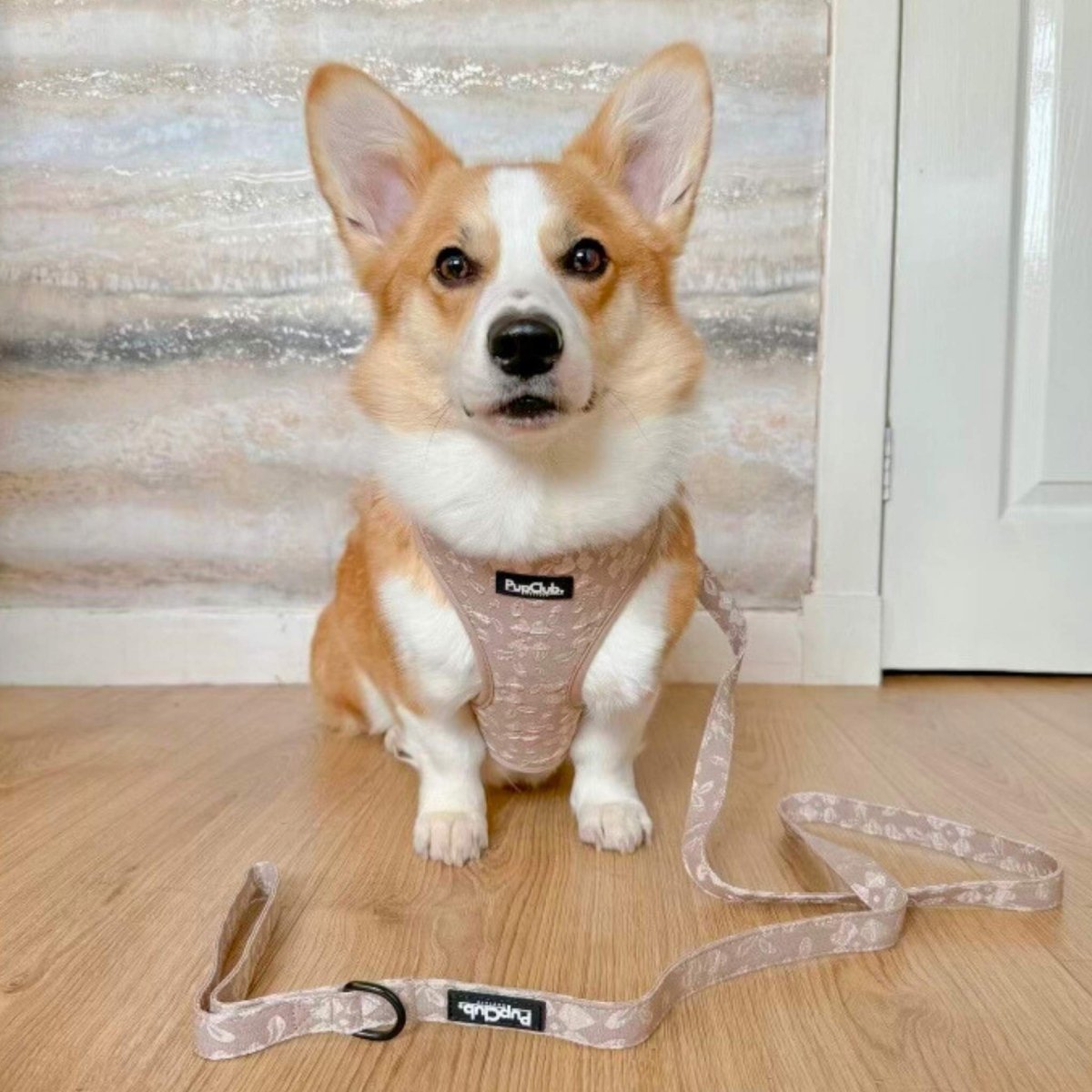 Toffee Latte Petals Adjustable Dog Harness