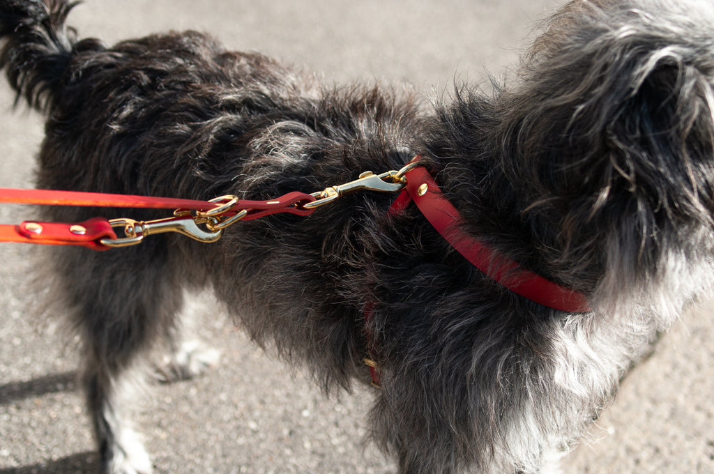 Cross Leather Dog Harness